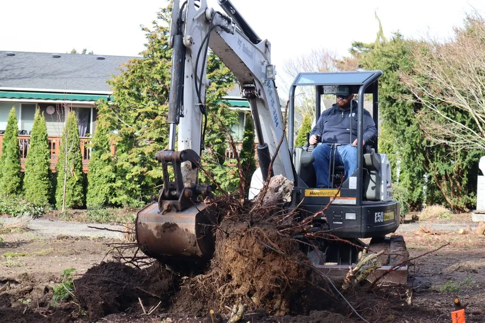 Professional landscaping services in Everett, WA by Ground Works Landscaping