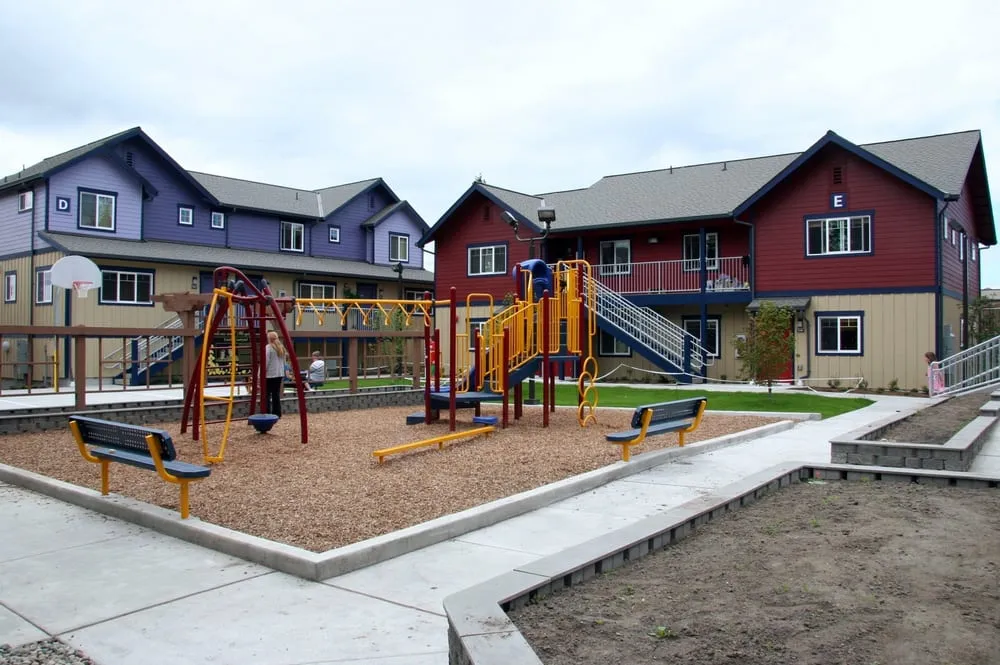 Professional yard cleanup service in Everett, WA - Ground Works Landscaping