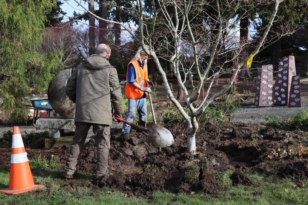 Local yard maintenance for homes in Everett, WA by Ground Works Landscaping