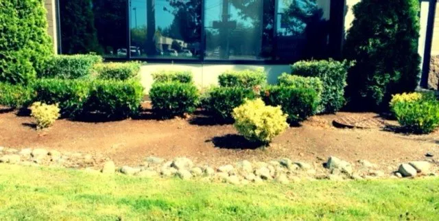 Custom lawn mowing service with custom design in Everett, WA by Ground Works Landscaping