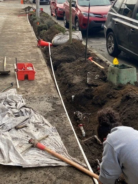 Custom yard cleanup service in Everett, WA - Ground Works Landscaping