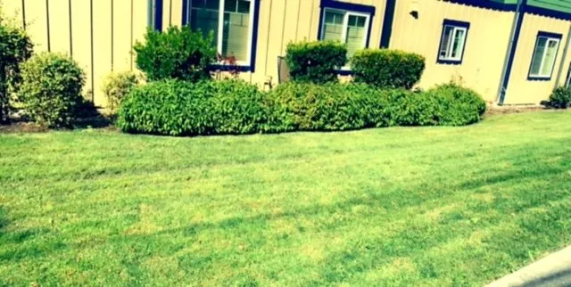 Local residential landscaping experts serving Everett, WA - Ground Works Landscaping