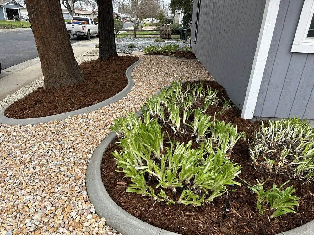 Expert yard cleanup service in Rio Linda, CA by Ground Works Landscaping