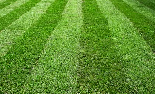 Professional landscaping services for year-round maintenance in Hillsboro, MO by Ground Works Lawn & Landscaping