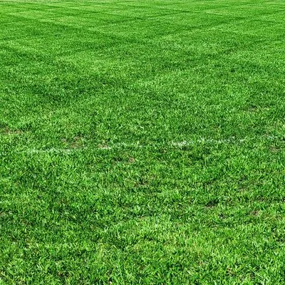 Ground Worx Outdoor Services Logo