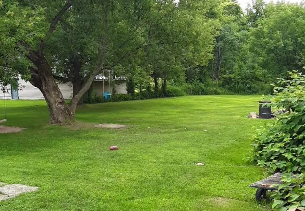 Affordable yard cleanup service experts serving Brasher Falls, NY - Ground Worx Property Maintenance