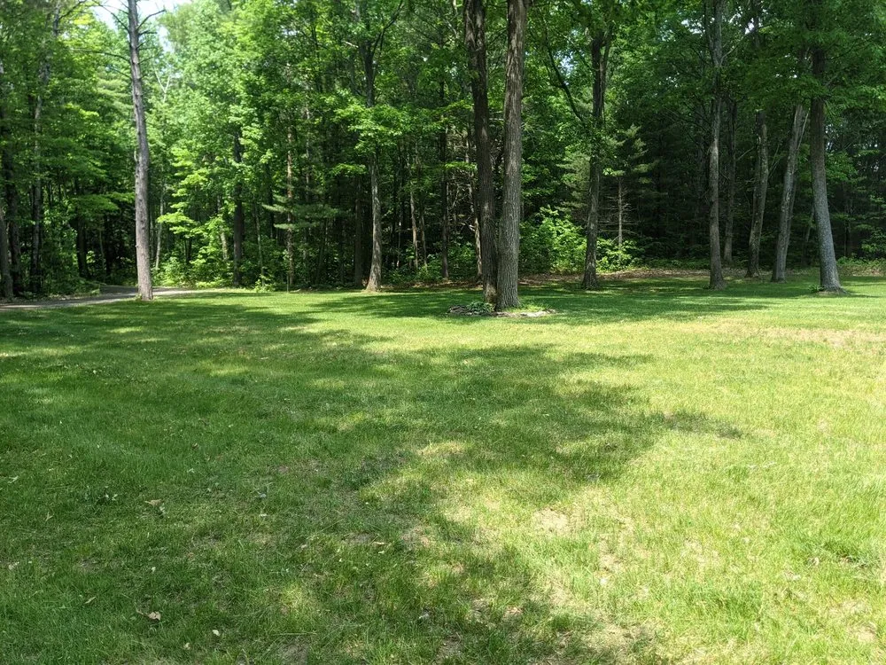 Expert yard cleanup service for beautiful yards across Brasher Falls, NY - Ground Worx Property Maintenance