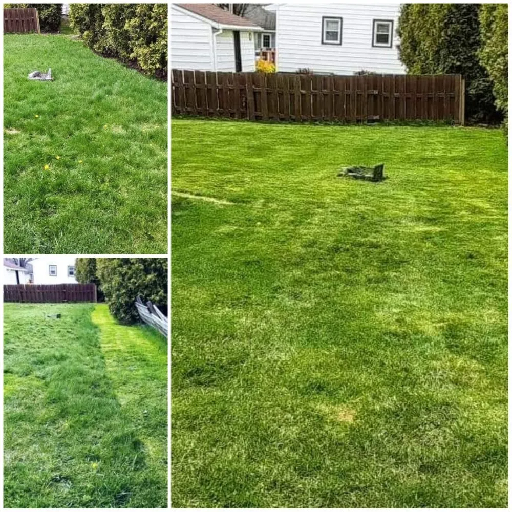 Professional landscaping services near you in Brasher Falls, NY by Ground Worx Property Maintenance