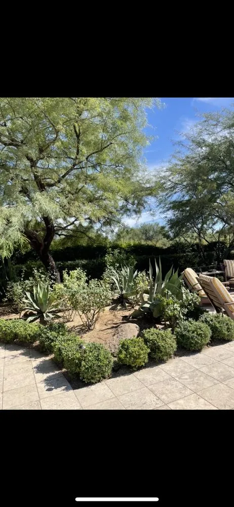 Reliable outdoor landscaping for year-round maintenance in Scottsdale, AZ by Ground Worx