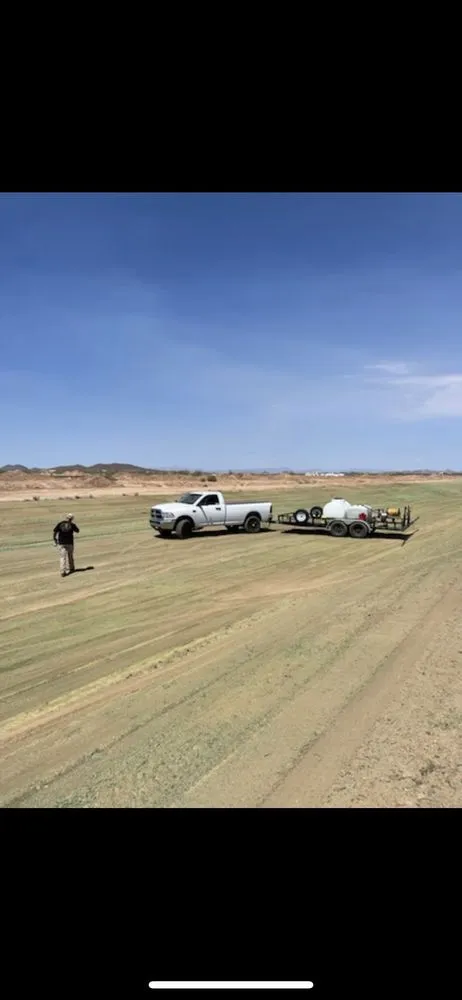 Professional yard cleanup service in Scottsdale, AZ by Ground Worx