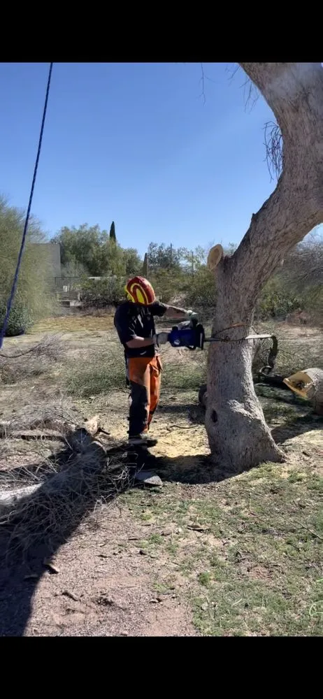 Affordable yard maintenance in Scottsdale, AZ - Ground Worx