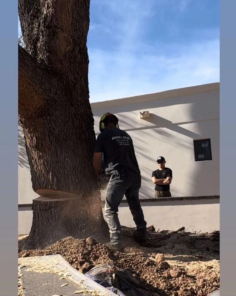 Top-rated landscaping services experts serving Scottsdale, AZ - Ground Worx