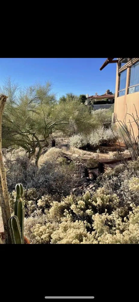 Trusted yard maintenance experts serving Scottsdale, AZ - Ground Worx