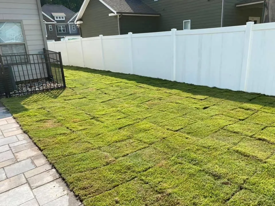 Top-rated yard cleanup service for residential properties across Lafayette, GA - Ground Xperts