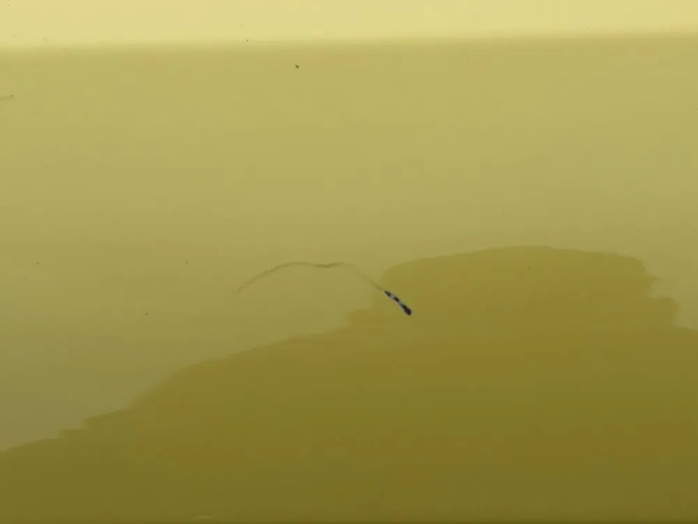 Reliable landscape design experts serving Wichita, KS - Ground Zero Enterprises