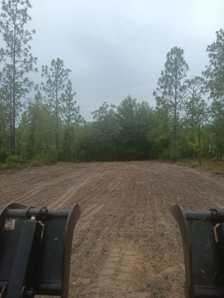 Expert landscape installation for year-round maintenance across Homosassa, FL - Ground Zero Land Services