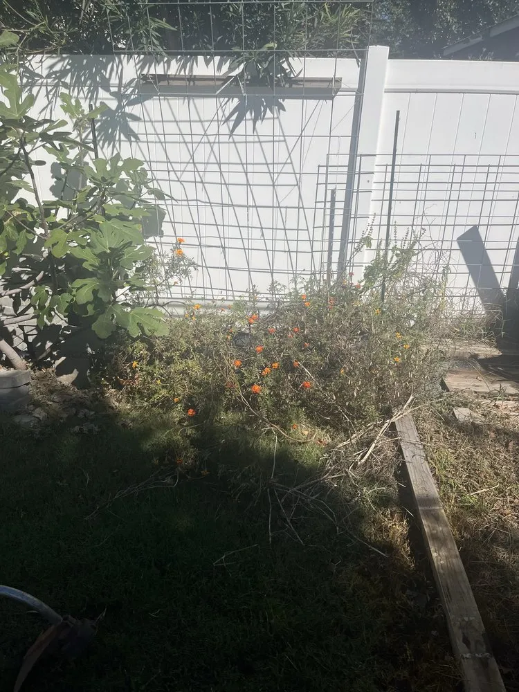 Professional outdoor landscaping experts serving Chesapeake, VA - Groundbreaking Lawn Services