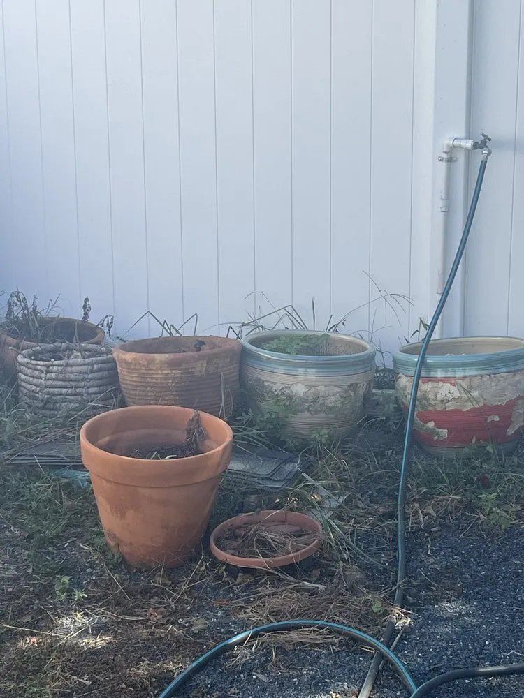 Trusted outdoor landscaping for homes in Chesapeake, VA by Groundbreaking Lawn Services