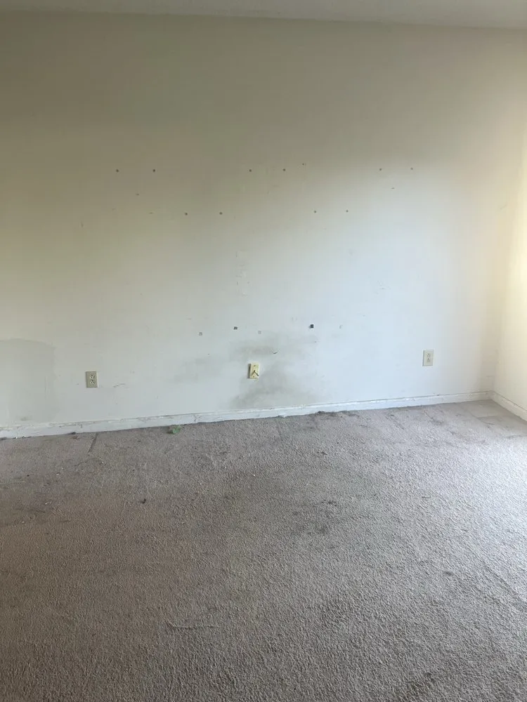 Top-rated lawn care service for year-round maintenance across Chesapeake, VA - Groundbreaking Lawn Services