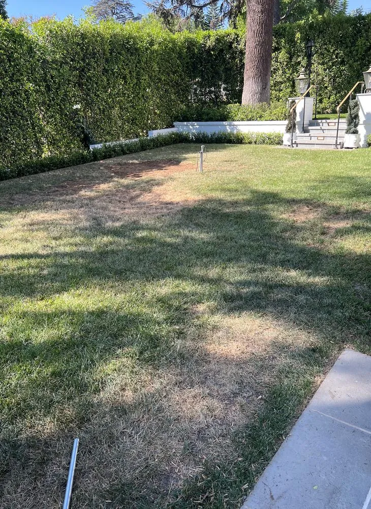 Custom yard maintenance for year-round maintenance in Burbank, CA by Groundcare Landscape