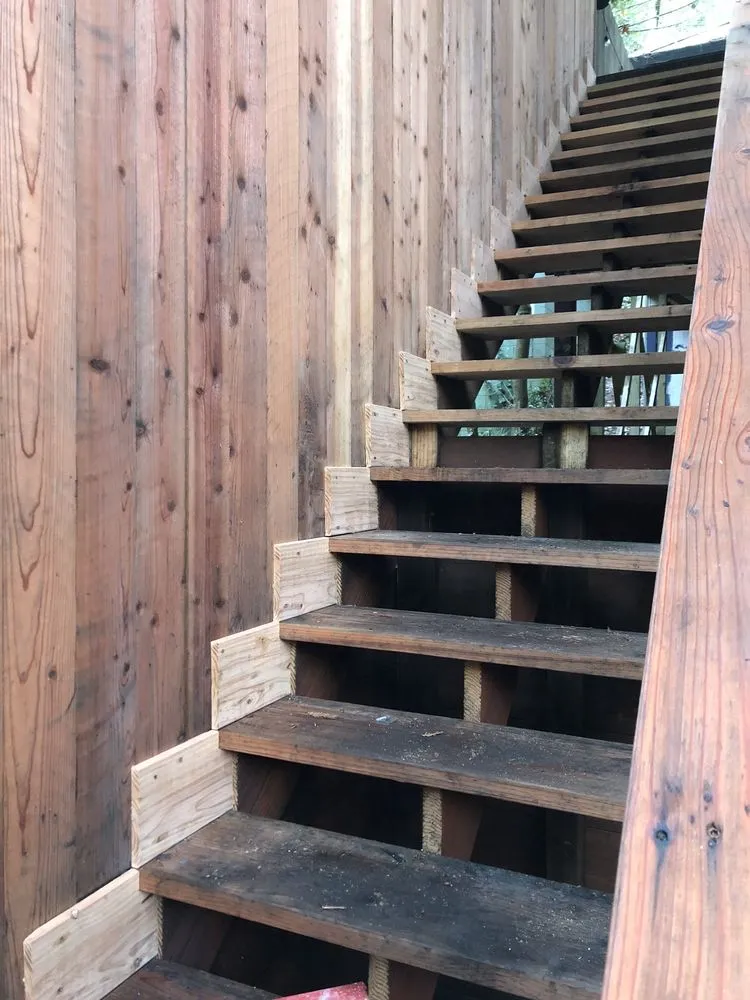 Custom landscape design for residential properties in Petaluma, CA by Grounded Aesthetics