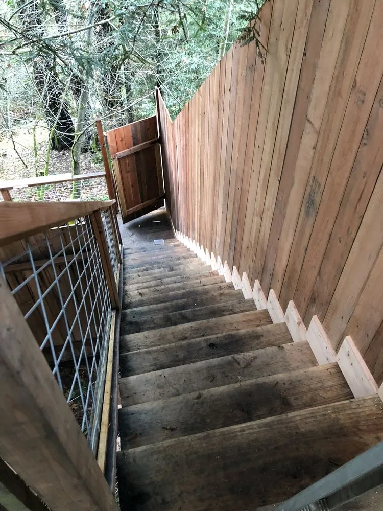 Professional yard cleanup service with custom design in Petaluma, CA by Grounded Aesthetics