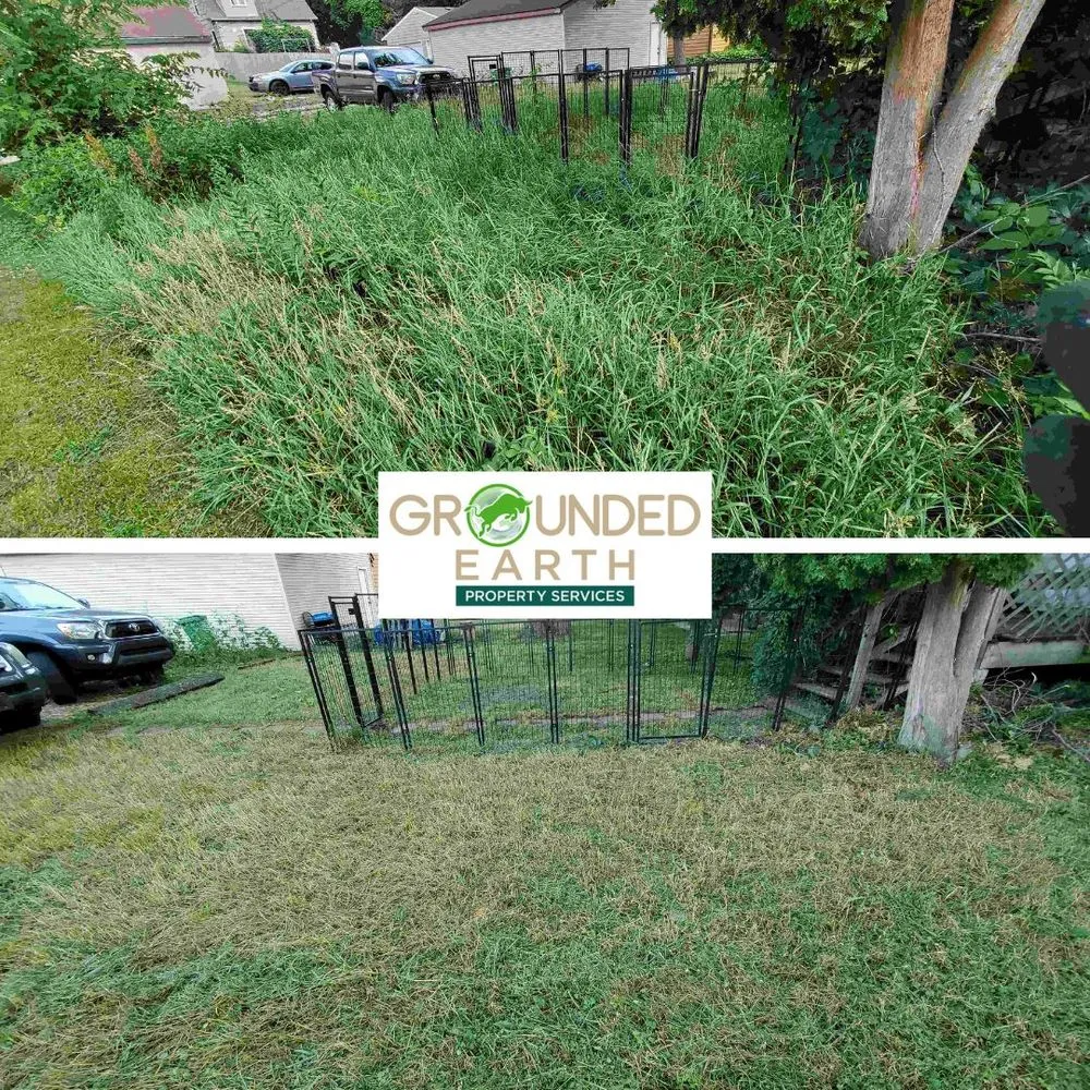 Expert lawn care service with custom design in Minneapolis, MN by Grounded Earth Property Services