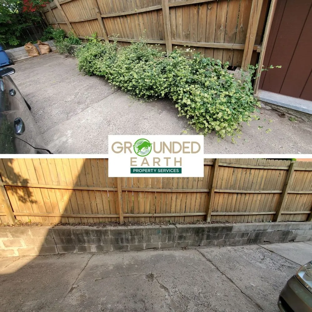 Top-rated lawn care service experts serving Minneapolis, MN - Grounded Earth Property Services