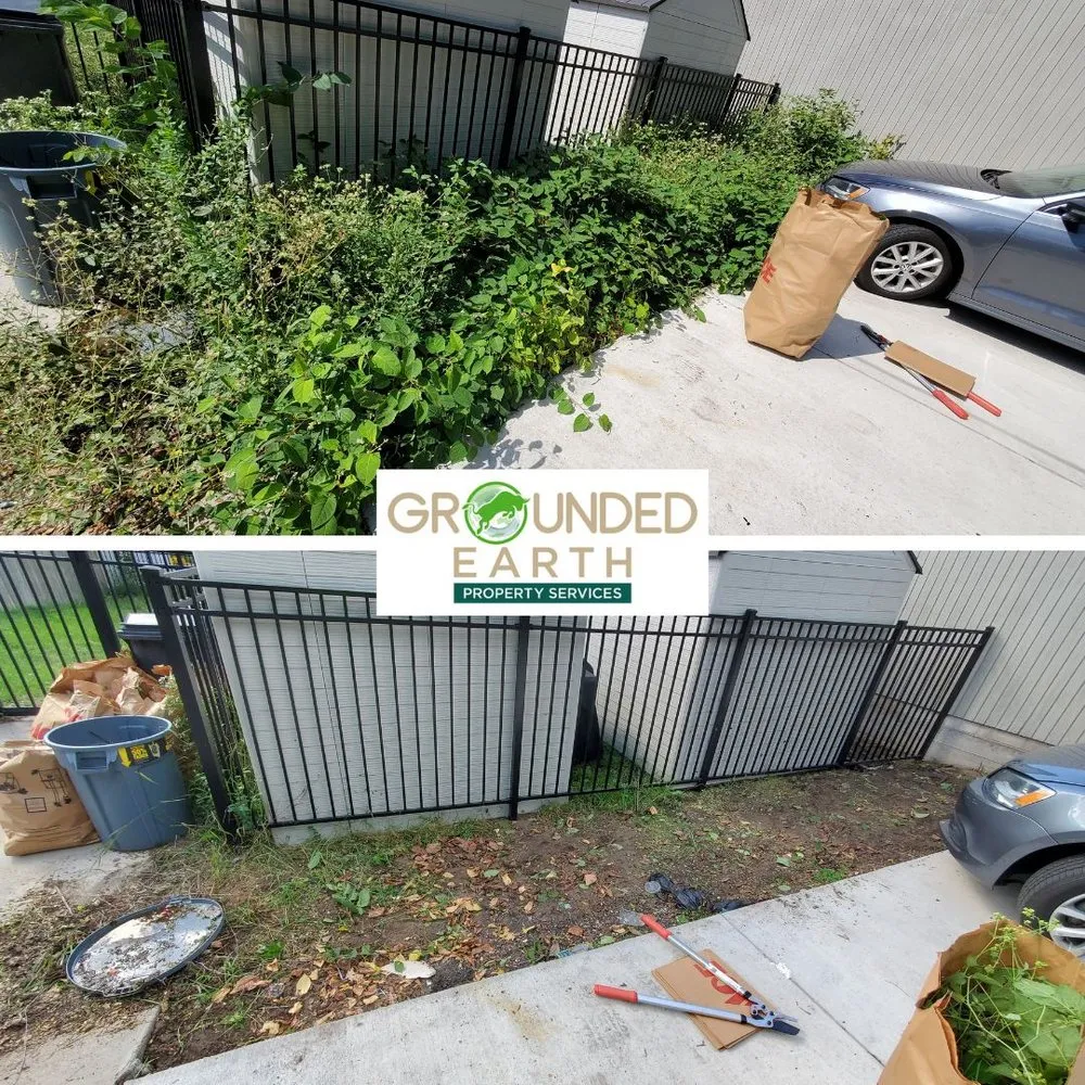 Professional landscaping services for year-round maintenance in Minneapolis, MN by Grounded Earth Property Services