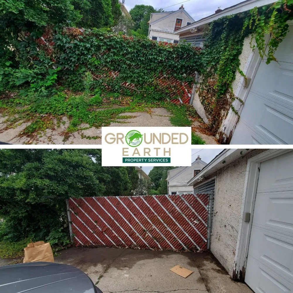 Expert lawn care service in Minneapolis, MN by Grounded Earth Property Services