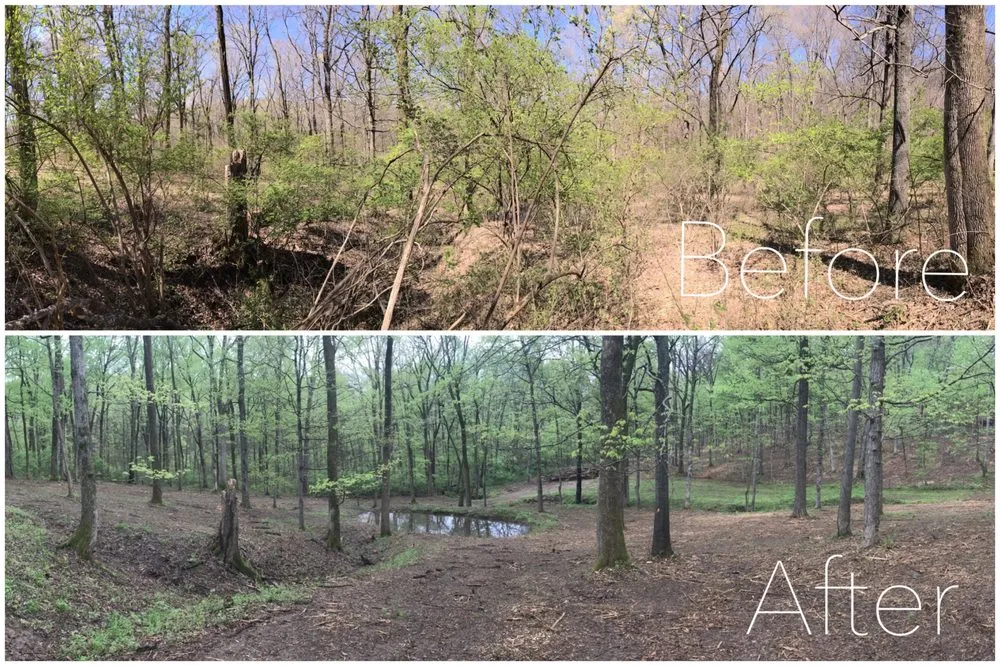 Top-rated garden landscaping in Spring Hill, TN by Grounded Land Solutions