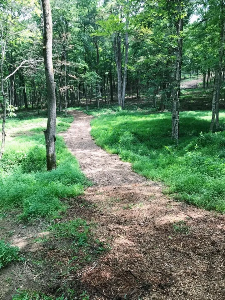 Reliable lawn mowing service experts serving Spring Hill, TN - Grounded Land Solutions