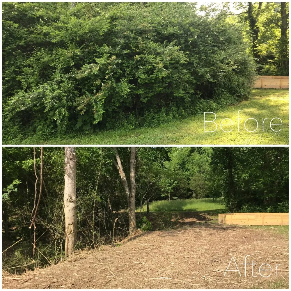 Professional yard maintenance experts serving Spring Hill, TN - Grounded Land Solutions