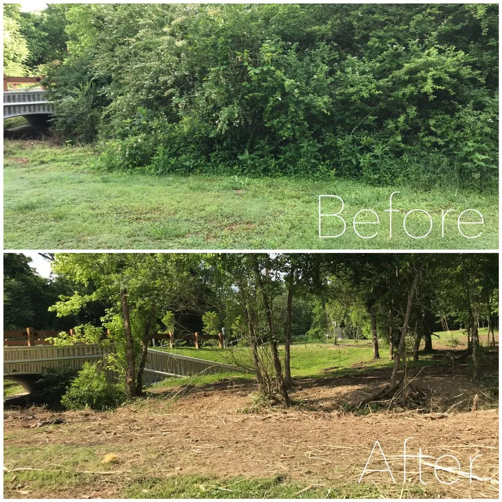 Top-rated yard maintenance in Spring Hill, TN by Grounded Land Solutions