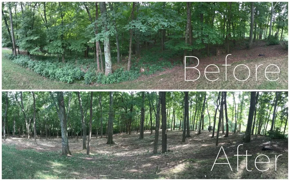 Top-rated garden landscaping in Spring Hill, TN by Grounded Land Solutions