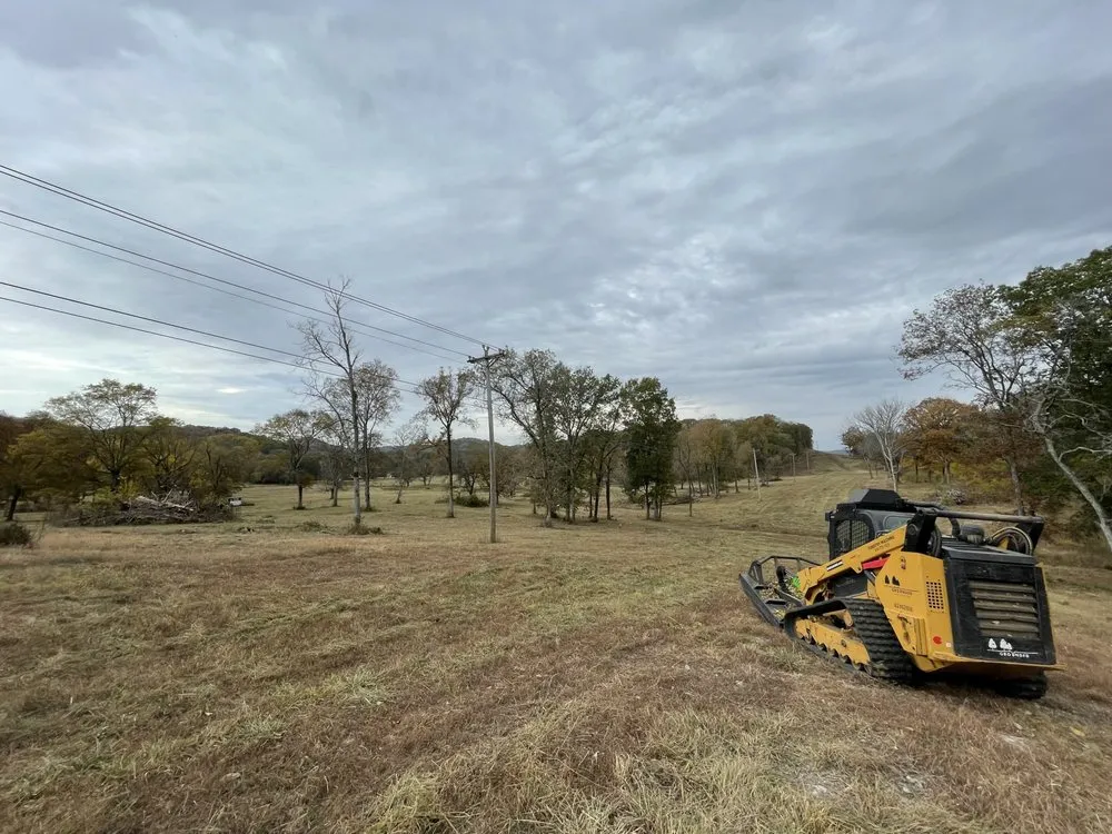 Affordable yard cleanup service in Spring Hill, TN by Grounded Land Solutions