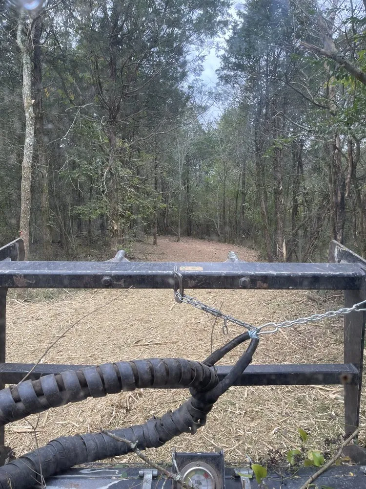 Professional landscape installation for year-round maintenance across Spring Hill, TN - Grounded Land Solutions