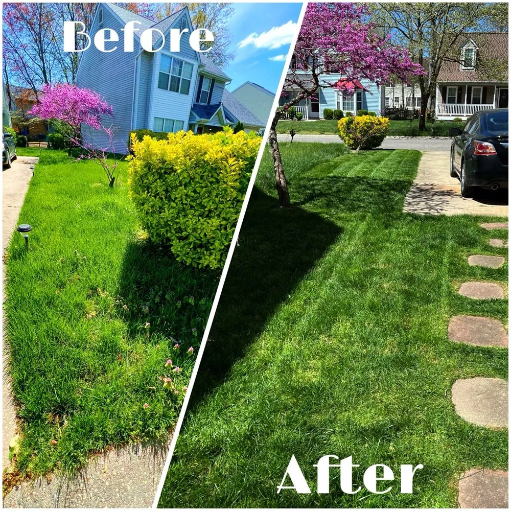 Professional landscaping services in Scotland, MD by Grounded Landscaping