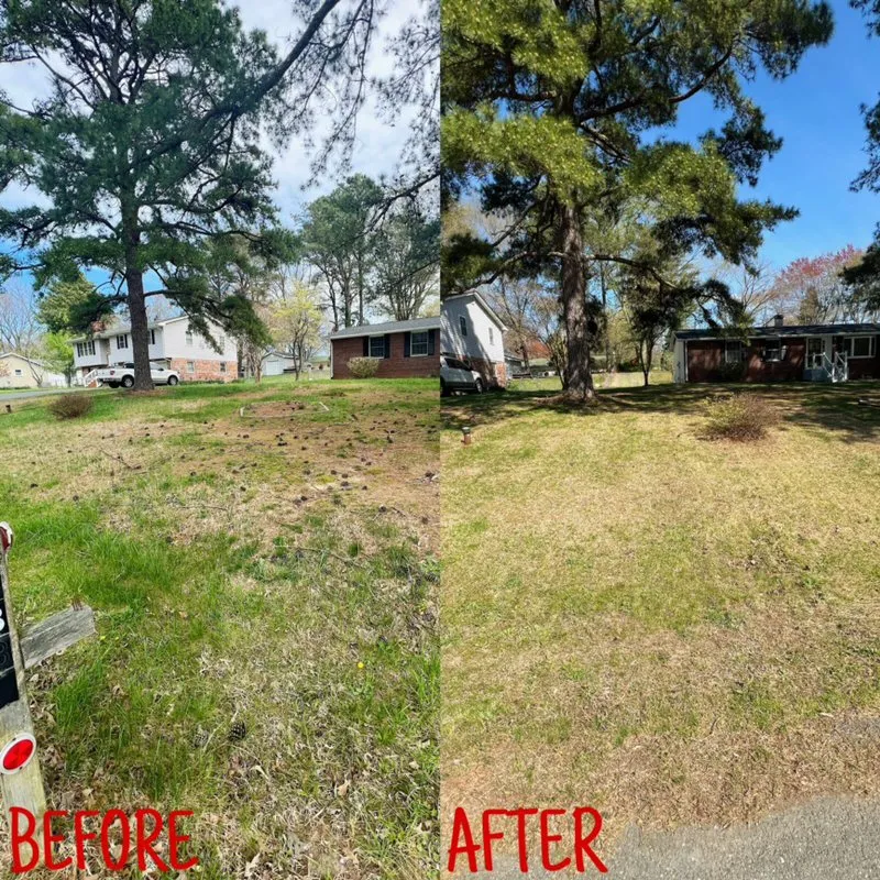 Affordable landscape installation for beautiful yards across Scotland, MD - Grounded Landscaping