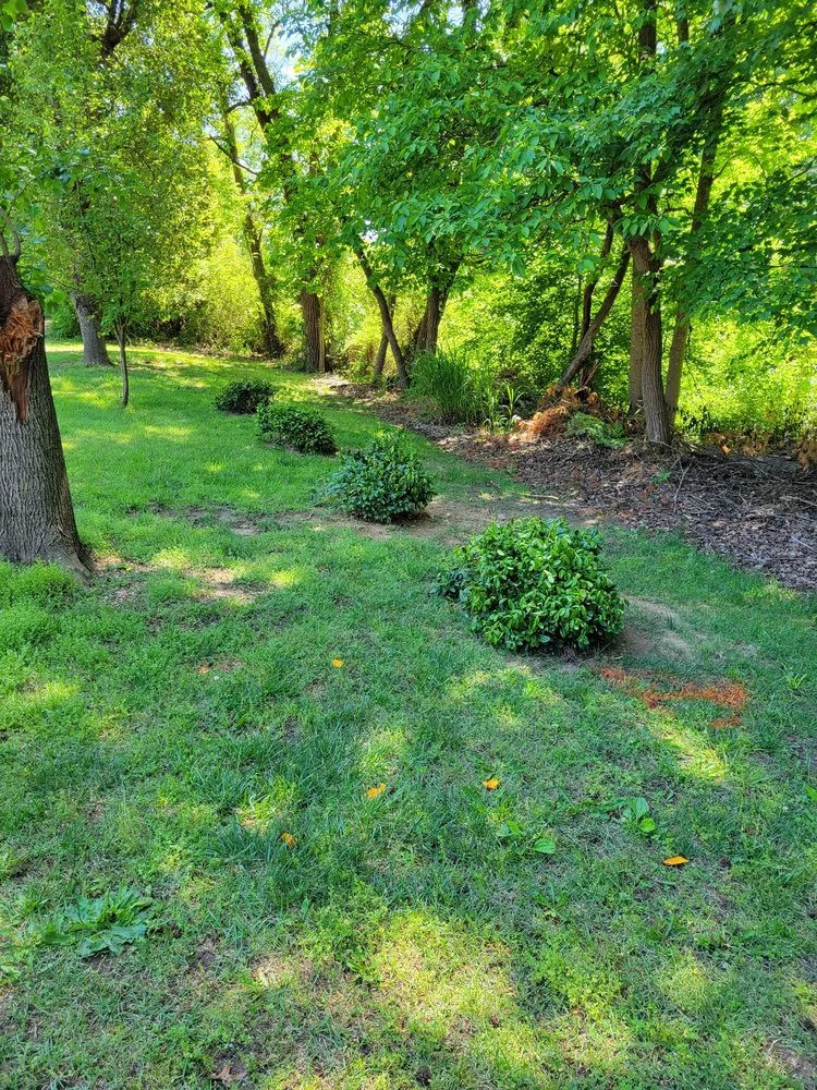 Professional lawn care service in Scotland, MD by Grounded Landscaping