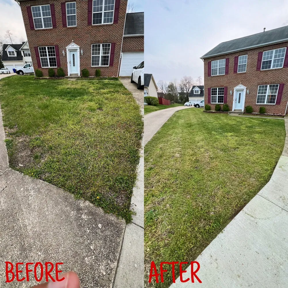 Reliable landscape design in Scotland, MD by Grounded Landscaping