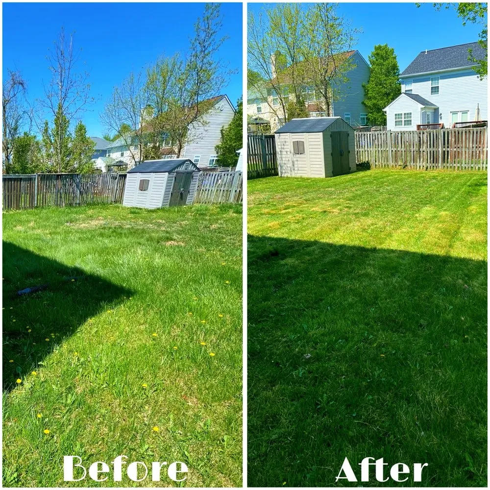 Local residential landscaping for year-round maintenance across Scotland, MD - Grounded Landscaping