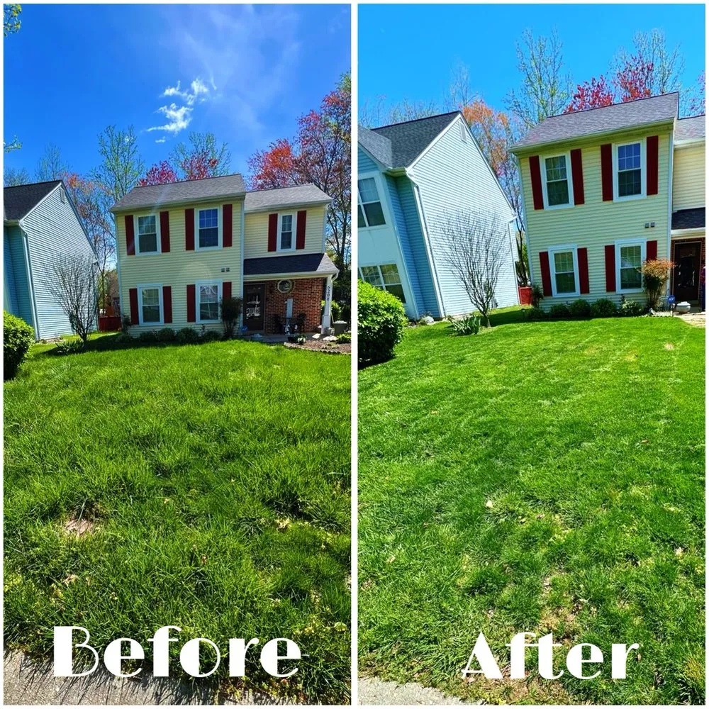 Reliable landscape design in Scotland, MD by Grounded Landscaping