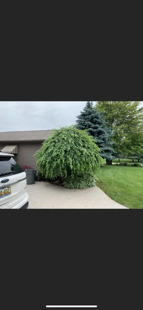 Trusted lawn mowing service in Saginaw, MI by Grounded