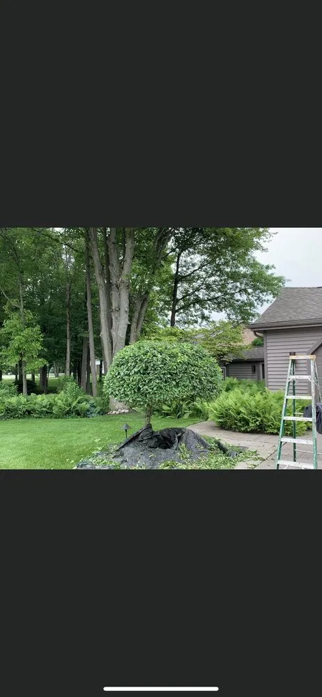 Trusted yard maintenance experts serving Saginaw, MI - Grounded