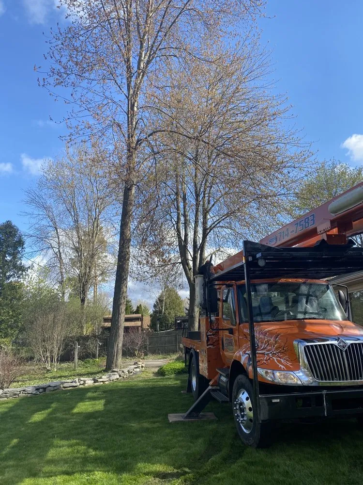 Top-rated landscape design in Saginaw, MI by Grounded