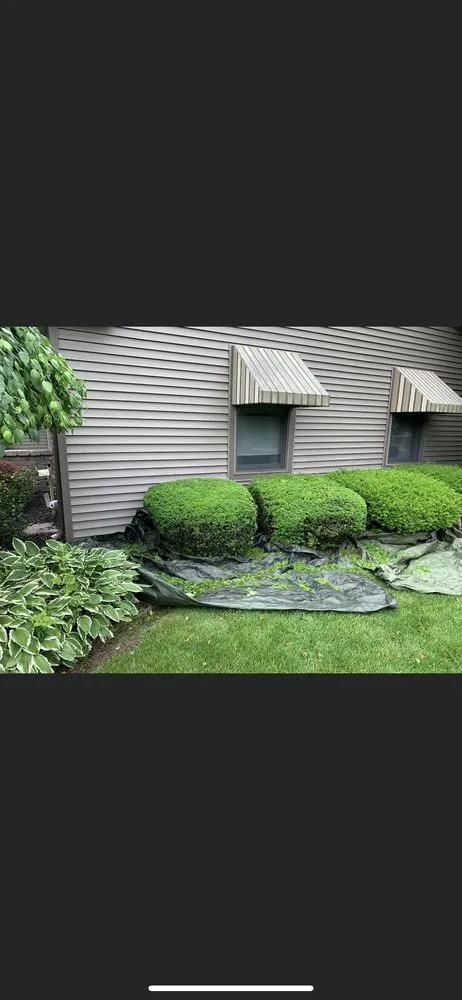 Top-rated outdoor landscaping in Saginaw, MI - Grounded