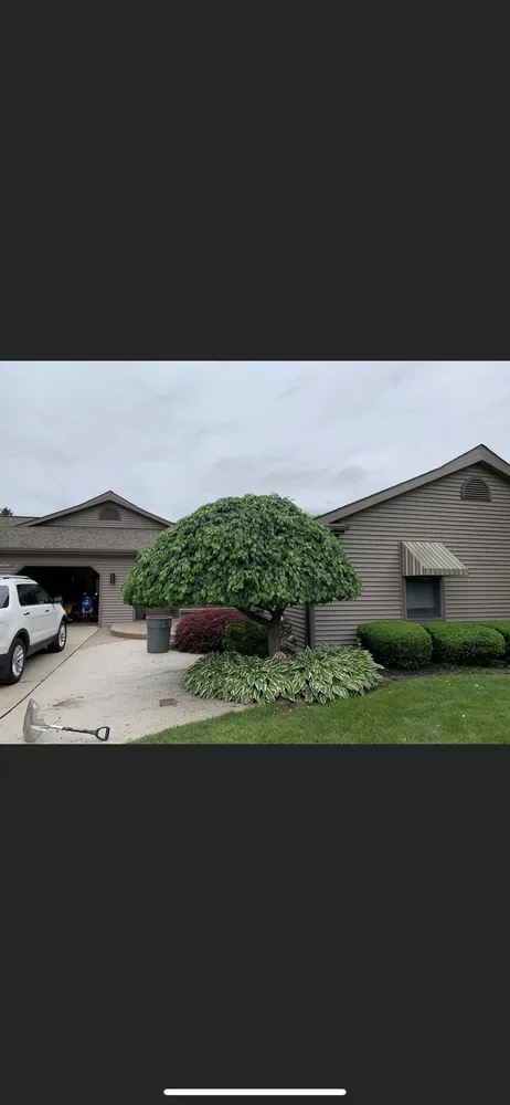 Local landscape design experts serving Saginaw, MI - Grounded