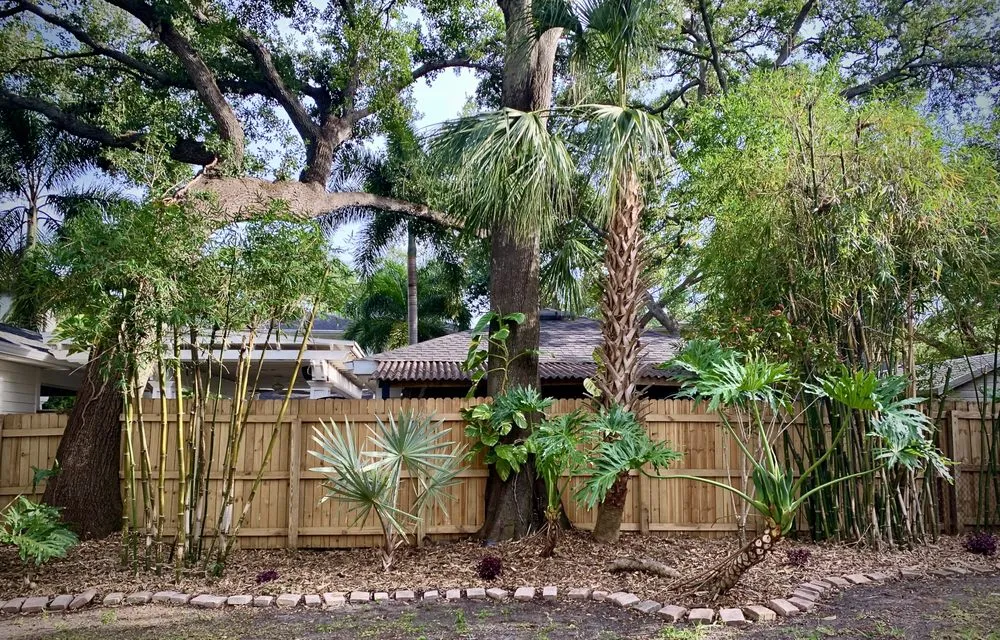 Affordable lawn care service for residential properties in Seffner, FL by Grounded Touch