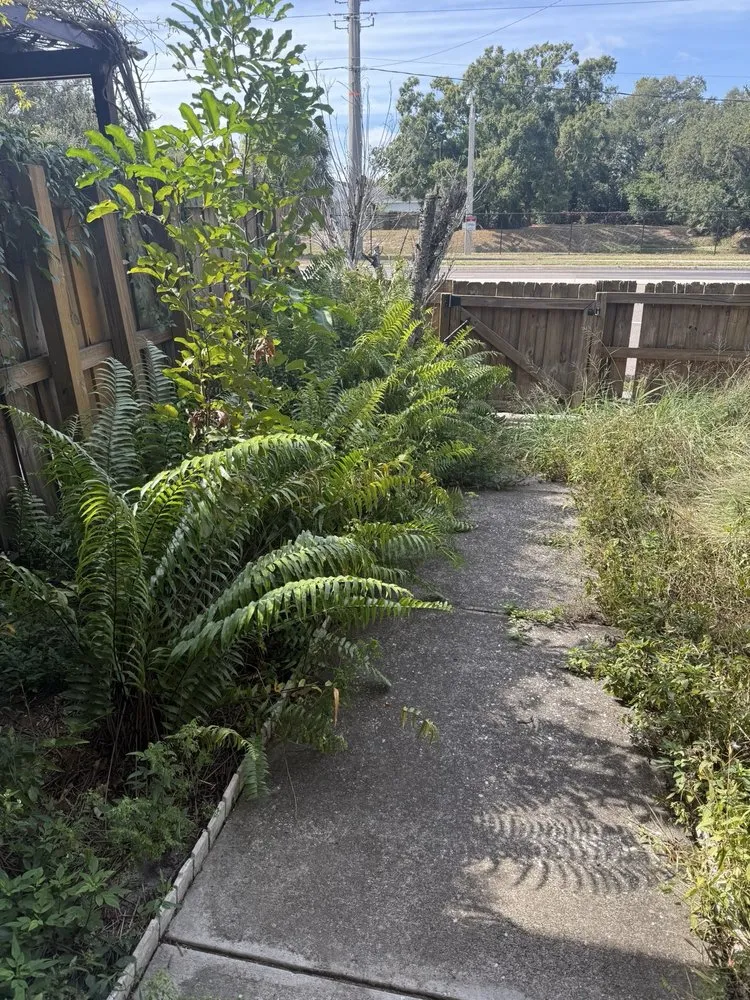 Professional landscaping services for beautiful yards in Seffner, FL by Grounded Touch